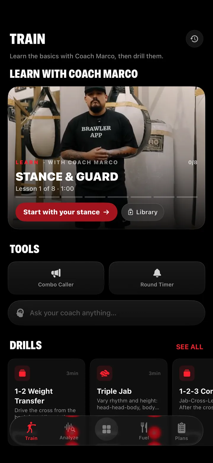 Brawler Train screen with Coach Marco's Stance and Guard lesson, Combo Caller, Round Timer, and drills